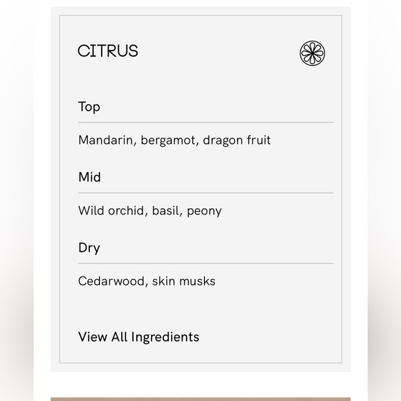 Ellis Brooklyn VERB
TERRIFIC SCENTED CANDLE 6.5 oz NWT - Picture 7 of 9